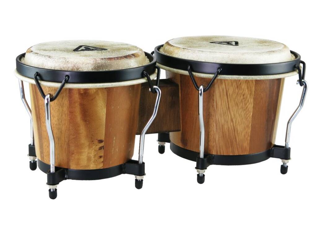 Bongo Drums Muziekonderwijs
