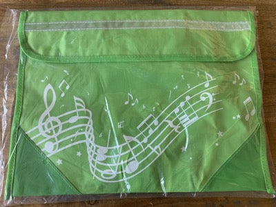 muziektas lichte groene kleur cadeau